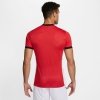 Koszulka Nike Academy 25 SS Top FZ9754-654 czerwony S